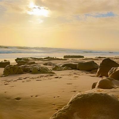 中欧体育app下载官网