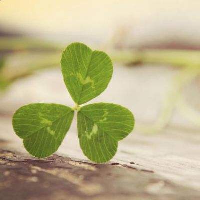 香港今晚六给彩开奖结果app下载