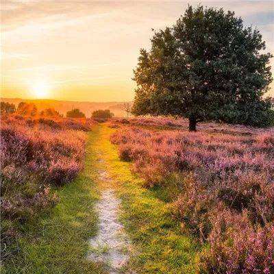 365平台官方版下载app下载